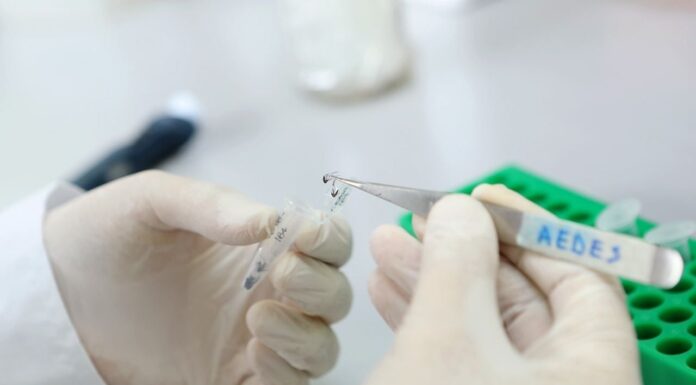 El motivo por el que no llegan las vacunas para prevenir el dengue a las farmacias de Mendoza