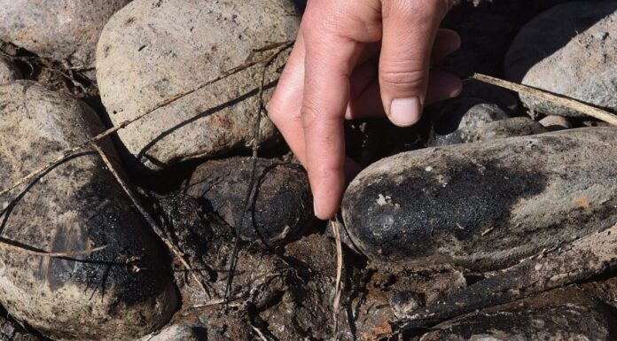 Impacto ambiental, dólares y dudas en el área petrolera más grande y antigua de Mendoza