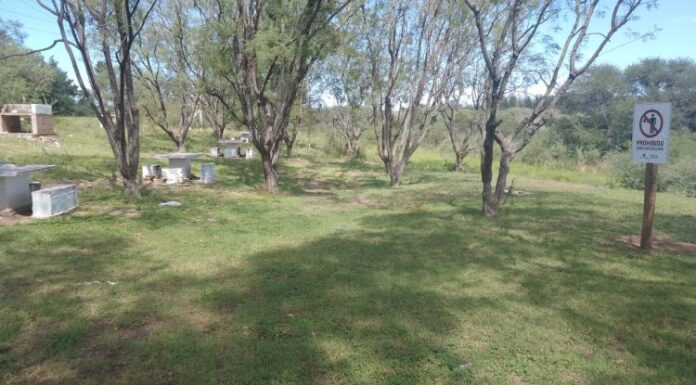 ANSL » Limpiaron y desmalezaron los alrededores del dique Paso de las Carretas