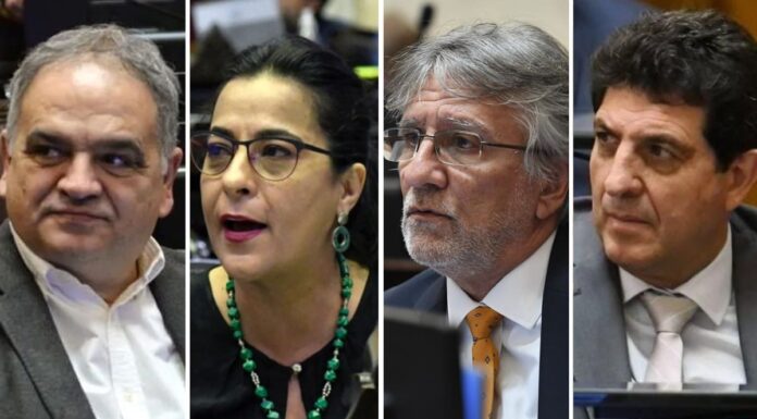 Quiénes son los cuatro senadores que se abrieron del bloque kirchnerista