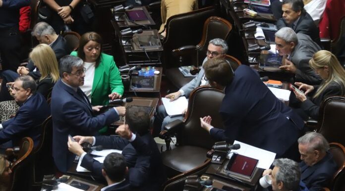 Qué proyectos impulsan los legisladores electos y cuál será la nueva composición