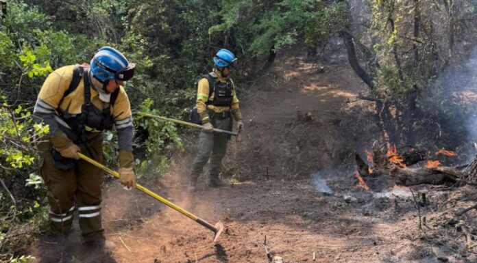 Córdoba envió más brigadistas para combatir los incendios que arrasan Chubut