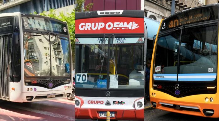 Transporte urbano en Córdoba: con nuevos operadores, Passerini quiere reconfigurar el sistema de colectivos en la ciudad