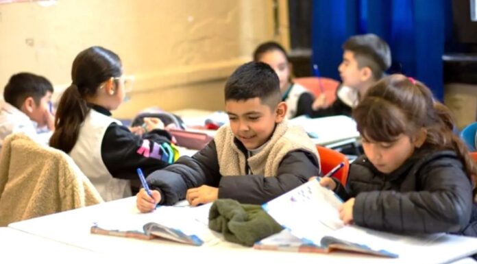 Cristina Zanotti: “existen métodos para potenciar la inteligencia de los alumnos”