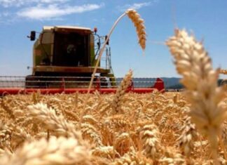 Retenciones: la Provincia calcula que los productores cordobeses perderán US$2.500 millones que «se van a la Nación y no vuelven»