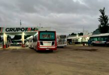 No circula ninguna de los colectivos del Grupo FAM en Córdoba: denuncian robo de llaves