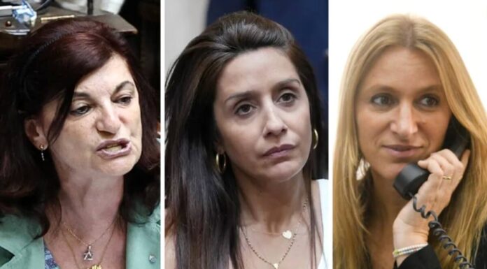 Del himno peronista de Kelly Olmos al exabrupto de Agustina Propato: las perlitas del debate por la reforma laboral